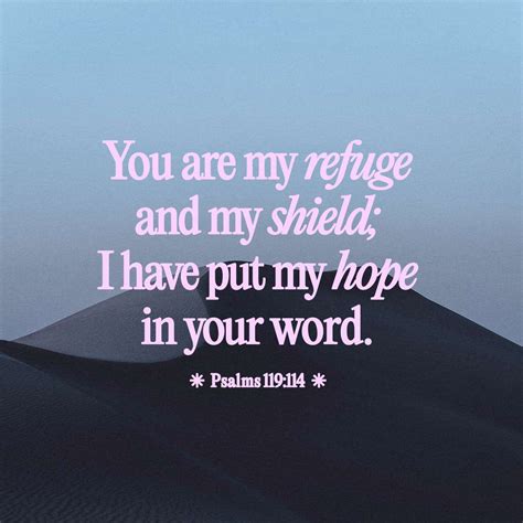 Psalms 119:114-120 (NLT) - You are my refuge and my shield; yo | YouVersion