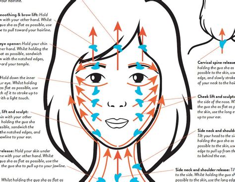 Facial Gua Sha Technique Guide PRINTABLE/ INSTANT DOWNLOAD | Etsy Gua Sha Massage, Lymphatic ...