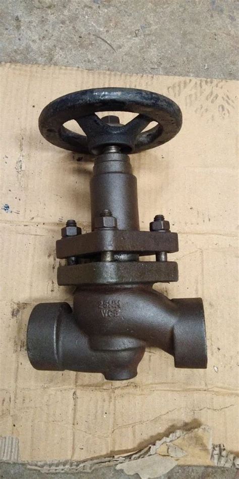 Piston Valve - Flanged End CS Piston Valve Manufacturer from Ahmedabad