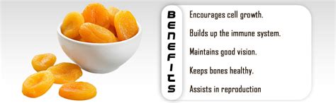 Dry Fruit Wala Dried Turkish Apricots Seedless,1000 g : Amazon.in ...