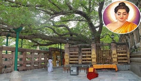 5 Interesting Facts About Mystic Mahabodhi Temple Where Lord Buddha ...