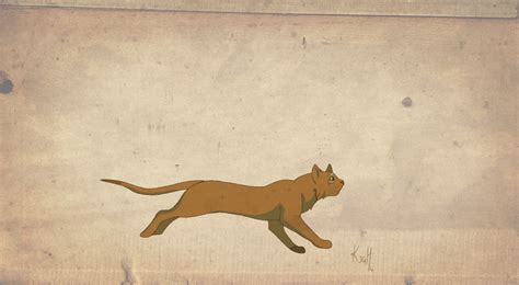 munchkin cat running gif