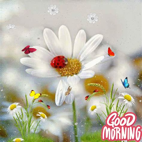 Latest Good Morning GIFs Images to Elevate Your Morning Mood | latestsms.in