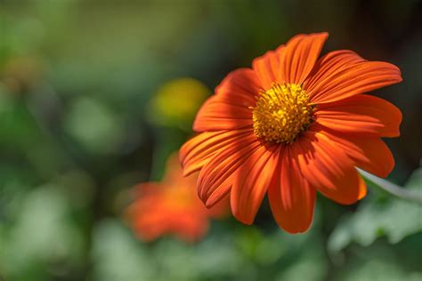 Image result for AC Problems