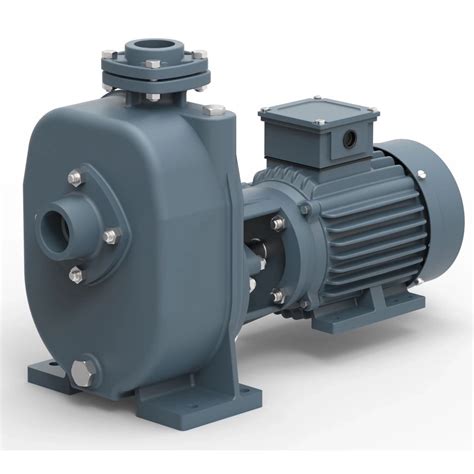 Lubi Pumps | Self-priming, Solids Handling, Close Coupled Pumps (LBM ...
