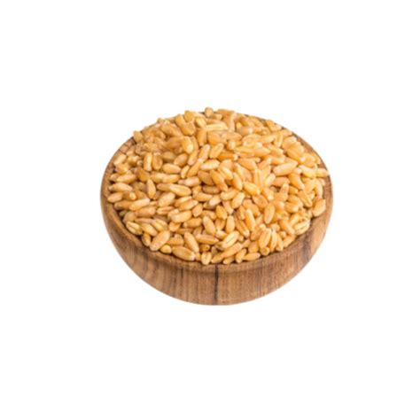 Vintage wheat bundle PNG - Photo #4657 - BiNps PNG Website