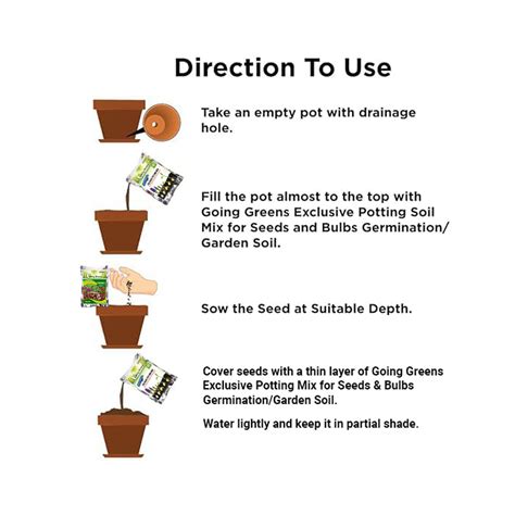Balsam Flower Seeds – Going Greens