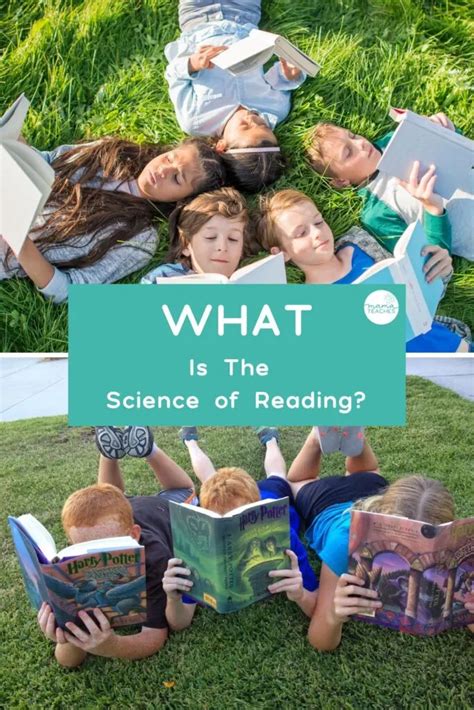 Science of Reading Explained 的图像结果