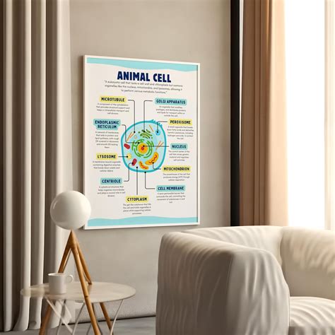 Image result for Basic Cell Structure Poster