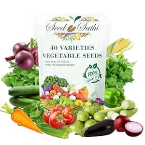 Seed Sathi 40+1(free) Variety Green Leafy Vegetable Seeds for Home ...