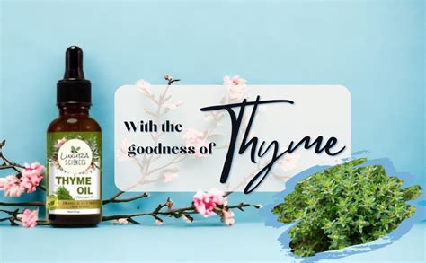 Luxura Sciences THYME Essential Oil Natural Therapeutic Grade Oil for ...