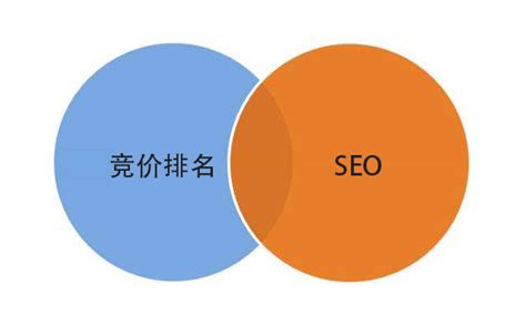 谷歌竞价与Google SEO区别-谷歌优化推广-思亿欧外贸快车官网