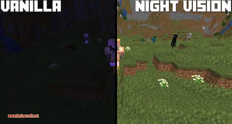 Image result for Minecraft Night Vision Resource Pack