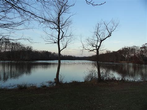 Summer Events in East Windsor's Etra Lake Park | East Windsor, NJ Patch