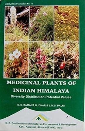 Buy Medicinal Plants of Indian Himalayas: Diversity, Distribution and ...