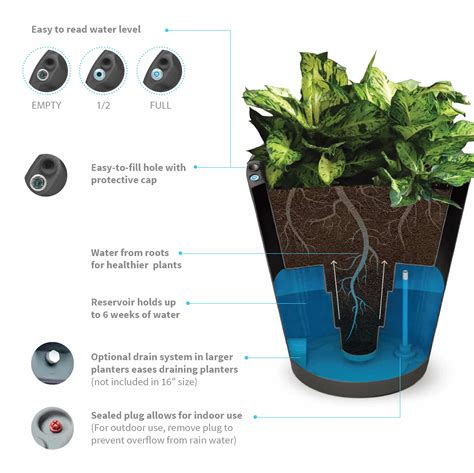 Indoor Self Watering Containers