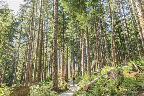 Tell Us About It: What Do You Think of the Mountain Loop Highway ...