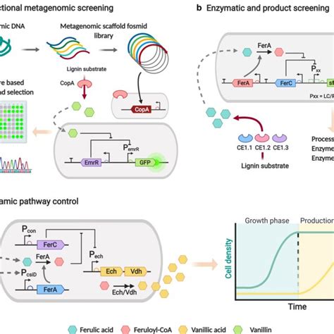 Different Colours of Biotechnology 的图像结果
