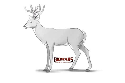 Deer Drawing Tutorial 的图像结果