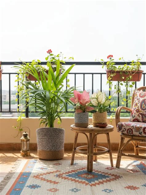 Buy Plants Online | Greenkin - India's Best Online Plant Nursery