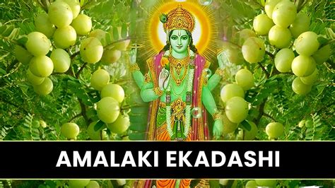 Amalaki Ekadashi: जानें, आमलकी एकादशी पर क्यों की जाती है आंवले के पेड़ ...