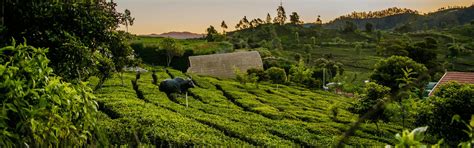 Ooty Tour Packages from Delhi, Flat 20% Off