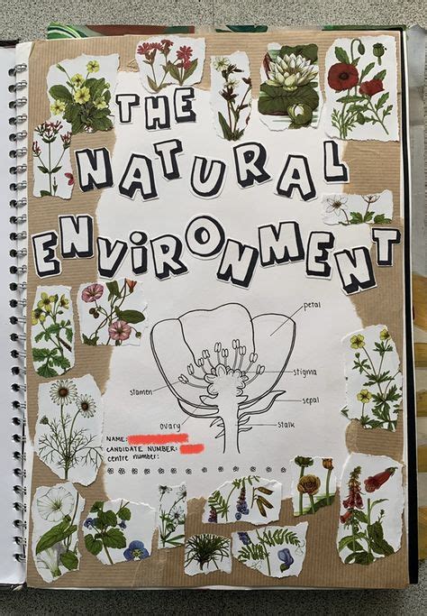 Environment Cover Page 的图像结果