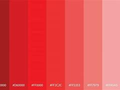 Image result for Pantone Red Color Palette