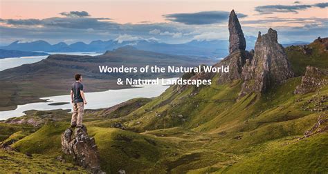 World Nature 的图像结果