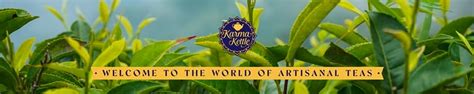 Amazon.in: Karma Kettle Teas: Sampler Boxes