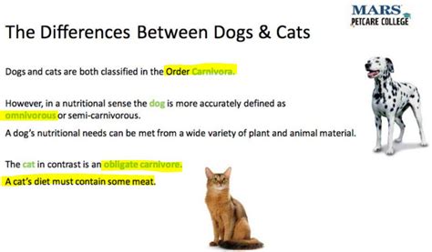 Are Dogs Obligate Carnivores? The Nutritional Truth Explained