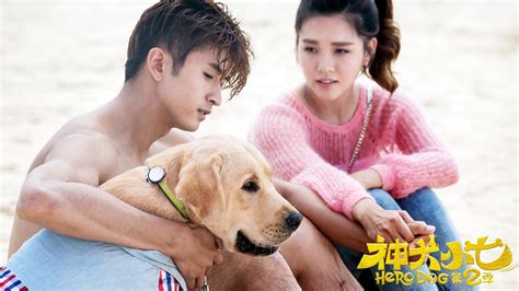 【FULL】Hero Dog Season 3 EP01 | 神犬小七3 | Jo Jiang 姜潮, Cecilia Boey 宋妍霏 | iQiyi