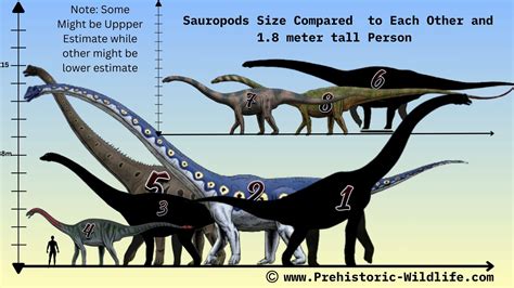 Sauropod Size Comparison