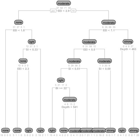 A Decision Tree for Rockburst Conditions Prediction