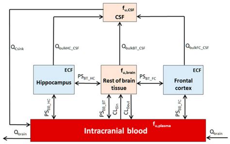 Development of a Region-Specific Physiologically Based Pharmacokinetic ...
