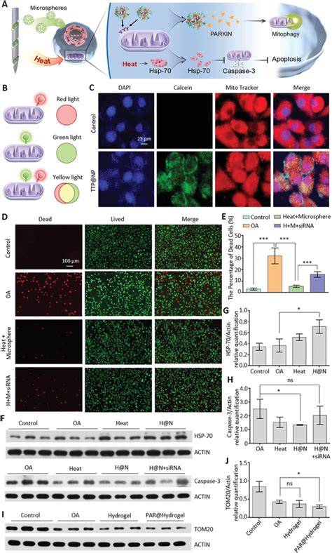 Molecule Energy Control 的图像结果