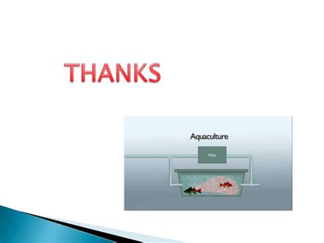 Fish Farm Structure 的图像结果
