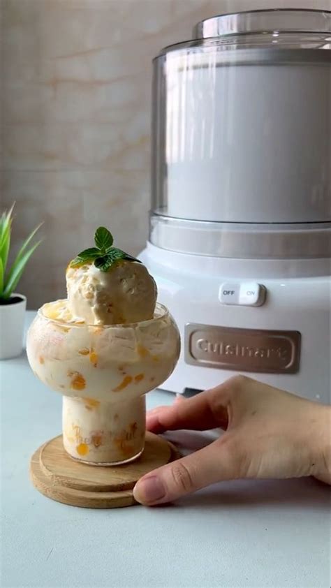 Homemade Ice Cream Recipes Using Machine 的图像结果