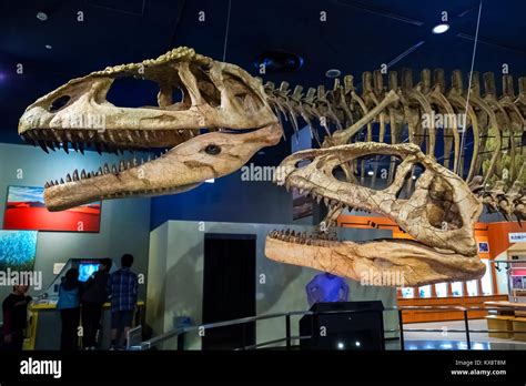Japan using Saudi-made coral skeletons from expo for sea conservation