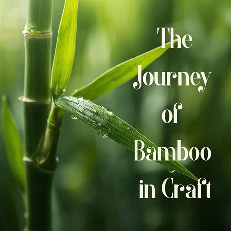 IMG_2967.png?v=1757943505