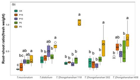 Root Foraging Ability for Phosphorus in Different Genotypes Taxodium ...