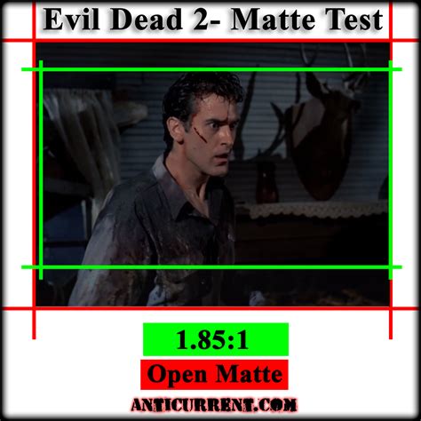 Image result for Matrix Open Matte