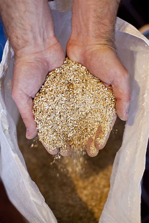 Local beer is all the rage in Monterey