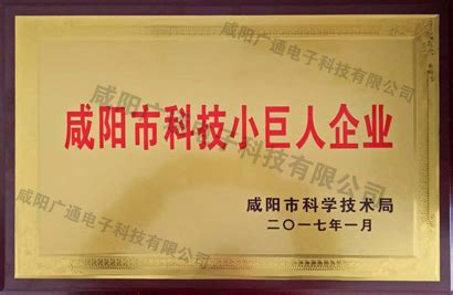 咸阳市科技小巨人企业证书 - 企业荣誉 - 咸阳广通电子科技有限公司