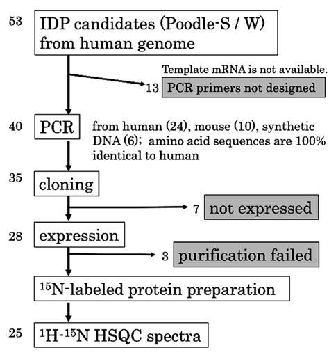 IJMS | Special Issue : In-Silico Prediction and Characterization of ...