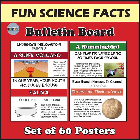 Fun Science Posters 的图像结果