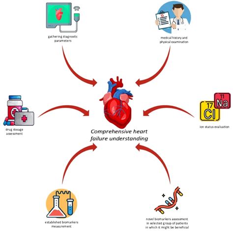 Current Review of Heart Failure-Related Risk and Prognostic Factors
