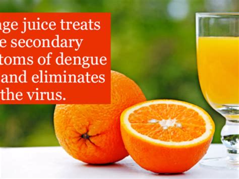 11 Home Remedies You Can Use To Fight Dengue Fever