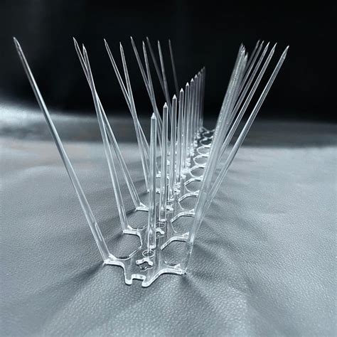 SpikeZone - Bird Spikes - Pigeon Control Spikes (Bird Spikes 10 Pcs ...