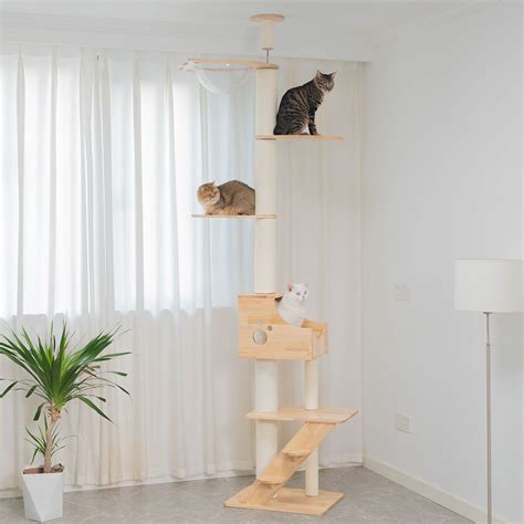 Wall-Mounted Aesthetic Cat Furniture | PETOMG Official Site – Petomg